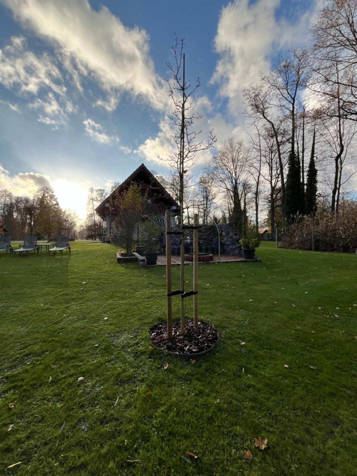 Ferienwohnungen Ast Burg  Exteriör bild